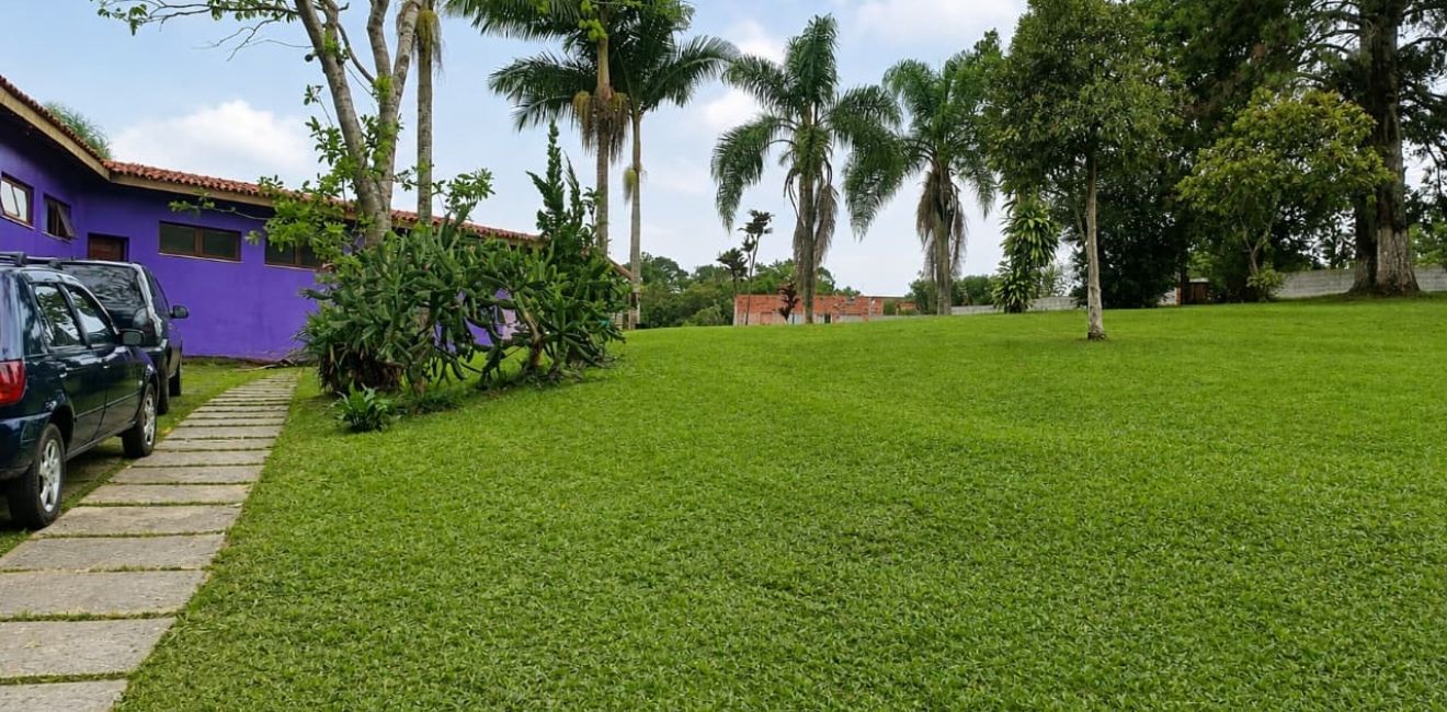 Dependente químico em Blumenau: como reconhecer a necessidade de tratamento e encontrar apoio para a recuperação