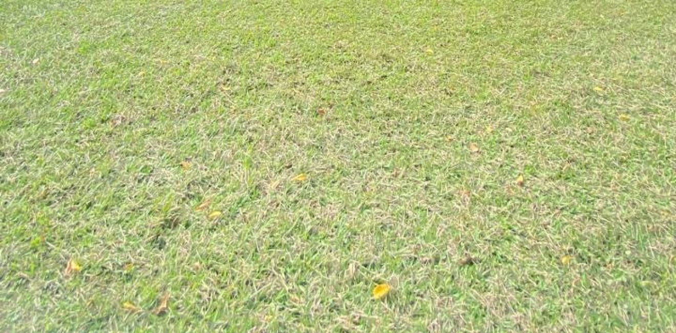 Clínica de Recuperação em São Bernardo