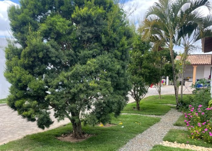 Internação para Drogados em Itapoá (SC): Como Escolher uma Clínica de Recuperação Segura e Efetiva