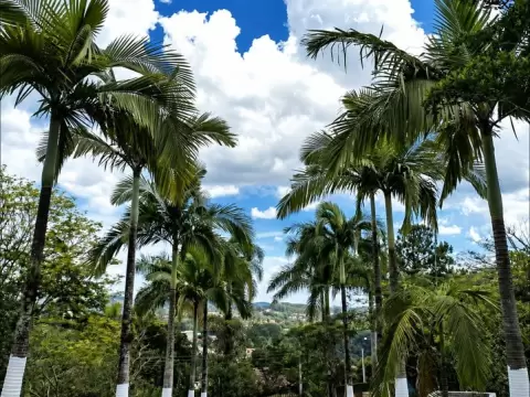Foto 3 da clínica Clínica de Recuperação em Jundiaí - SP