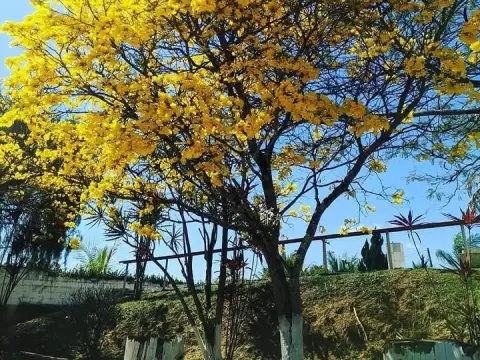 Foto 6 da clínica Clínica de Reabilitação para Dependência Química em Taubate 