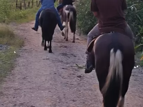 Foto 5 da clínica Clínica de Recuperação em Araquari