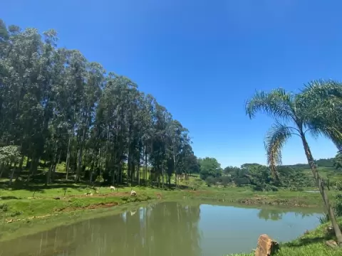 Foto 5 da clínica Clínica de Recuperação em São Carlos SC